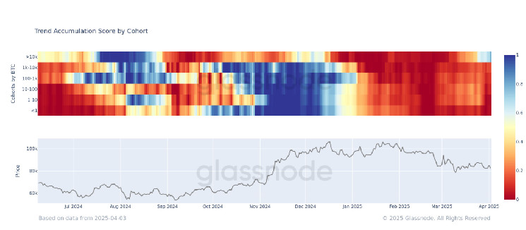 Киты биткойна начинают покупать на спаде: накопление впервые за 8 месяцев