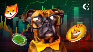 SHIB піднімається на 55% за 24 години