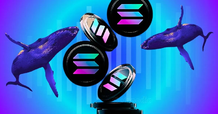 Прогноз ціни Solana: потенційний ріст до $180 завдяки підтримці великих інвесторів та зростанню мережі.