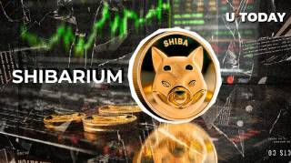 Достижения Shibarium: рост блоков и транзакций на фоне усиления позиций SHIB