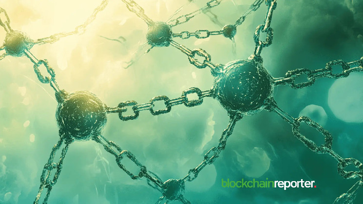 DaoStarter та Polyverse: нова ера блокчейн-ігор і IDO 11 квітня 2025 року