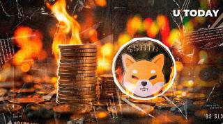 Снижение сжигания SHIB на фоне падающего рынка и росту блоков Shibarium