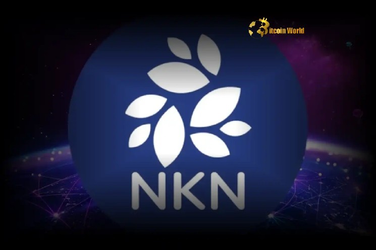NKN оголосила про стратегічну програму викупу токенів для зміцнення децентралізованої мережі
