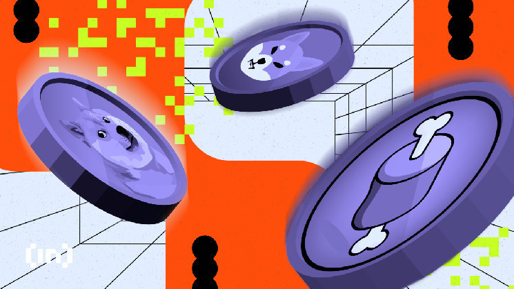 Мем-монети SHIB, WIF, BONK: Руйнівний Вибух на Криптовалютному Ринку