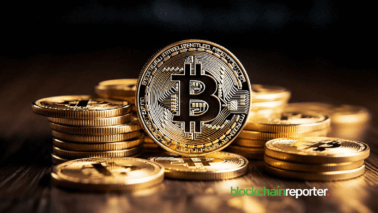 Стойкость Биткоина в 2023 году и его будущие прогнозы