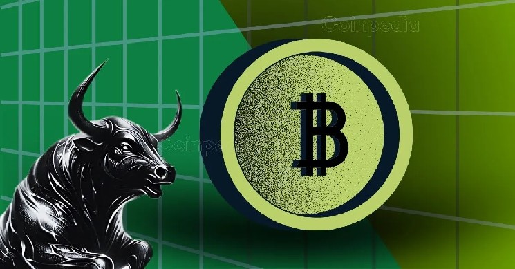 Биткойн и альткойны растут на фоне приостановки тарифов от Трампа: надежда на бычий рынок