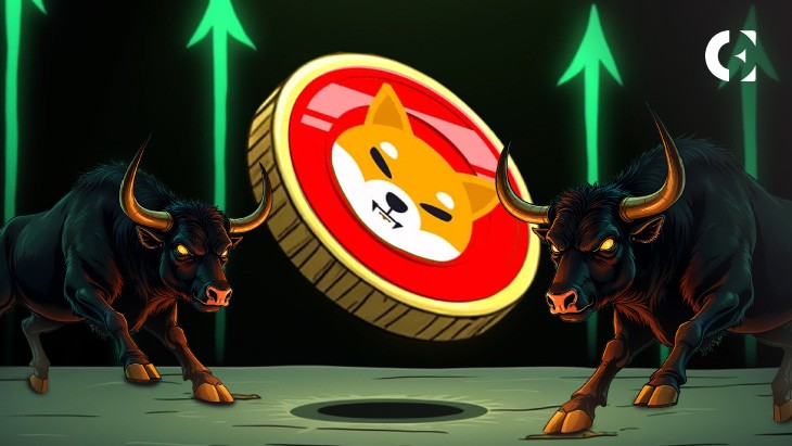 SHIB удерживает поддержку: рост на 9% и увеличение объема торговли на 26% – что ждать дальше?