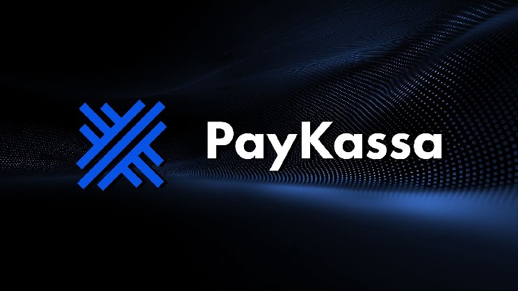 Paykassa.pro добавляет Toncoin и USDT на TON: новые возможности для бизнеса и снижение комиссий.