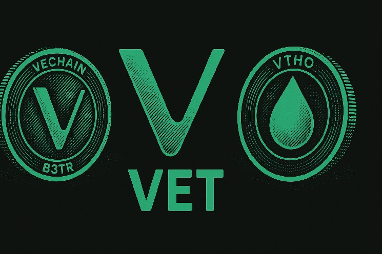 Карта Visa Stella Pay від VeChain: витрачайте токени B3TR, VET і VTHO в усьому світі!