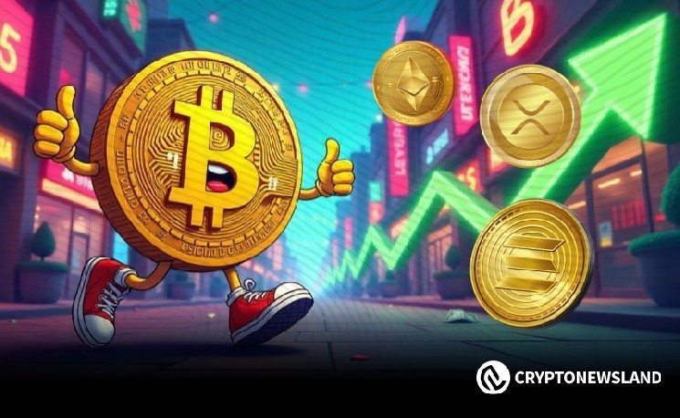 Кити Bitcoin накопичили 100 тисяч BTC: що це означає для ринку та цінової тенденції?