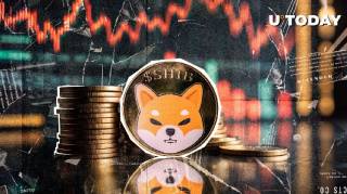 Shiba Inu снова потерял позицию в крипто-топ-100: Hedera обошел монету по рыночной капитализации.