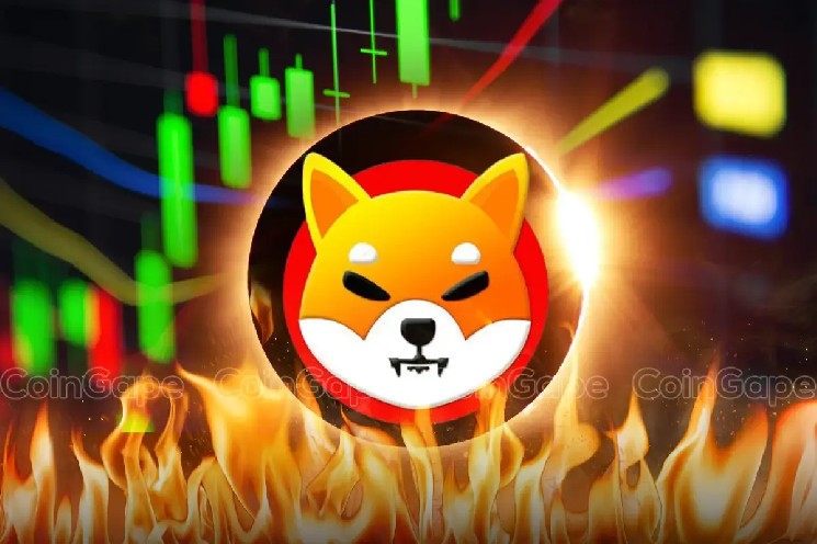 Сжигание токенов Shiba Inu выросло на 2000%, инвесторы ждут роста цен