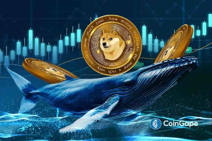 Цена Dogecoin на пороге прорыва: крупные держатели накапливают токены