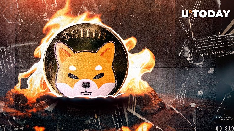 Возвращение активности сжигания токенов Shiba Inu: рост на 111% и надежды на бычий рынок