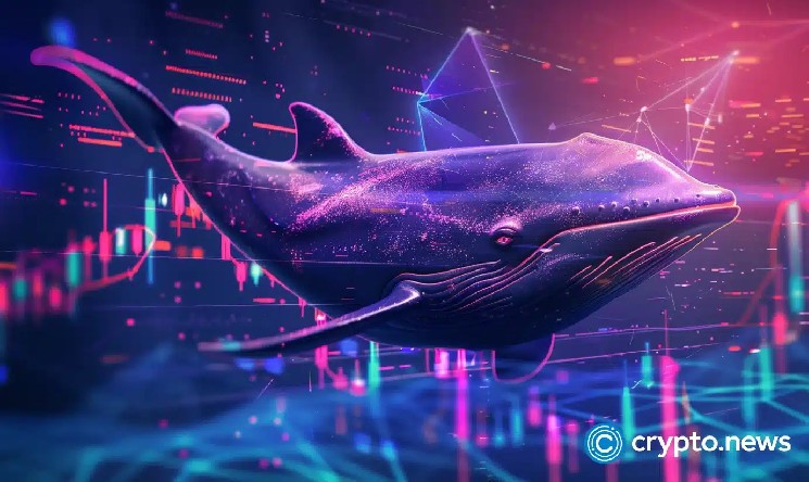 Бики NEAR Protocol активізуються: чи досягнуто дно на рівні $2?