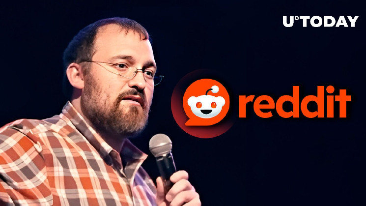 Проблеми Cardano на Reddit: криптовалютна війна