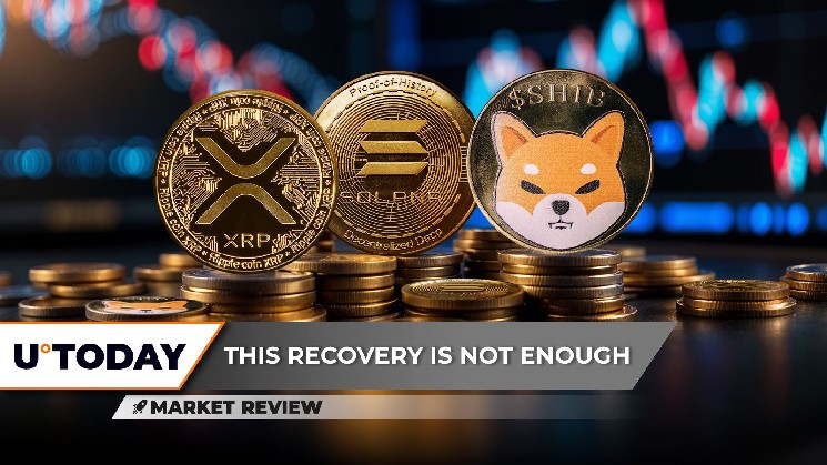 XRP на шляху до $3: таємнича сила Solana та занепад Shiba Inu