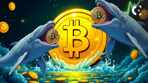 Біткоїн-інвестори накопичують, короткострокові трейдери зазнають втрат: аналіз ринкової ситуації