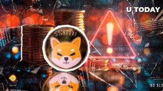 Предупреждение команды SHIB о мошенничестве: единственное оружие - образование