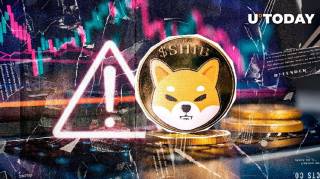 SHIB Алерт: Команда Shiba Inu предупредила о мошенниках и призвала к защите сообщества
