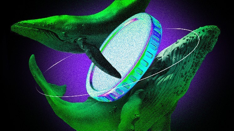 Криптокиты увеличивают позиции: Ethereum, FET и Onyxcoin на фоне рынка 2025 года.