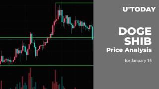 DOGE и SHIB: Анализ цен на 15 января