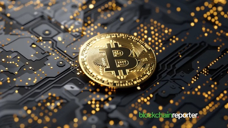 Неделя криптовалют: BTC на вершине, ETH снижает темпы, а Solana показывает сильный рост