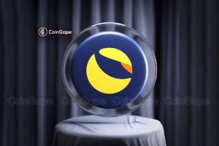 LUNC: Распуск группы разработчиков Terra Classic Core Dev JL1TF