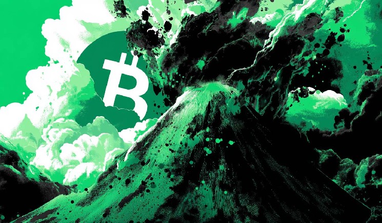 Прогноз Рауля Пала: ослабление доллара поднимет Bitcoin в течение года