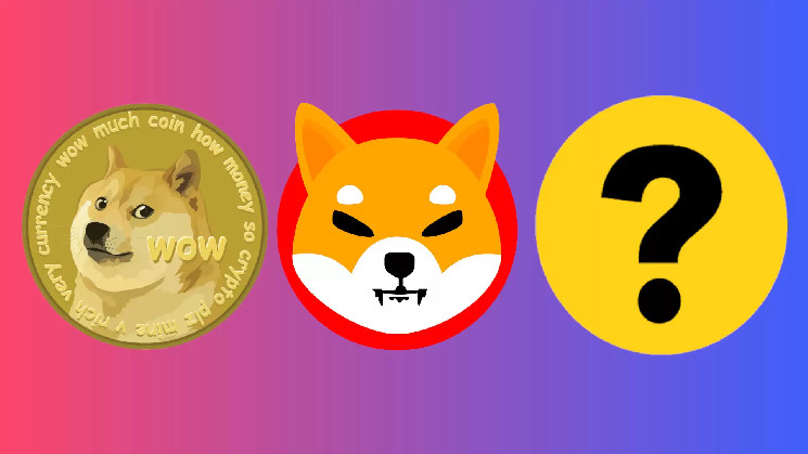 Ралі токенів Mem: чому триває і що очікувати?