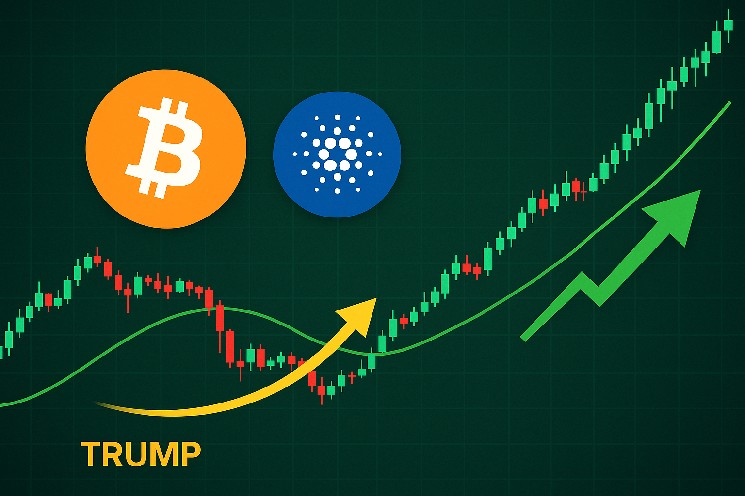 ADA на пороге бычьего прорыва: рост до $4 возможен!