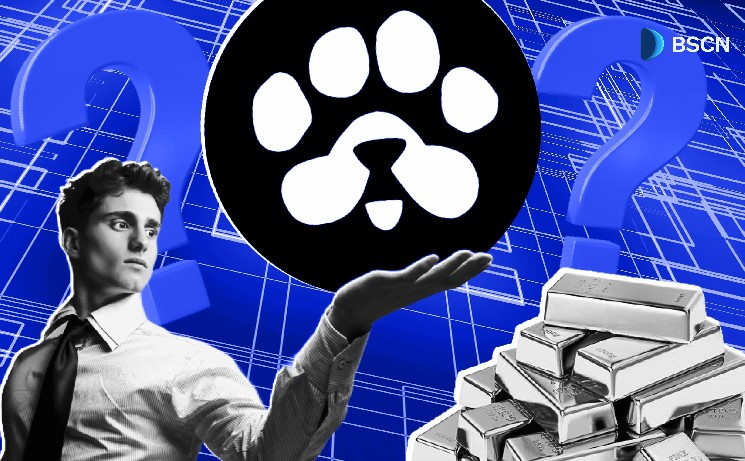 PAWS: Ответ на критику Airdrop и амбиции на сезон BNB