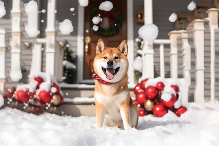 Прогноз ціни Dogecoin: $1 у березні