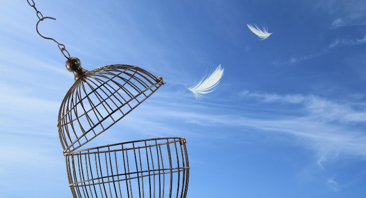 Шиба Ину и Догикоин на подъеме: биткойн стремится к $100,000, SHIB вырывается из нисходящего тренда, DOGE накапливается вокруг 18 центов