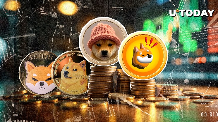 BONK та WIF обганяють SHIB і DOGE: собачі монети на Solana показують рекордний прибуток на фоні буму BTC