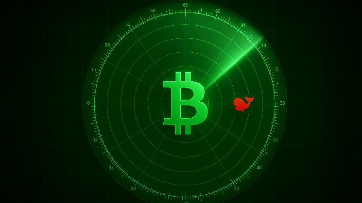 Крупные игроки перемещают 1 700 биткойнов из кошельков 2015 года, подчеркивая тренды конфиденциальности в криптовалютных транзакциях