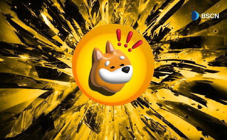 Бычий разворот BONK: что ждать от мемкоина на Solana?