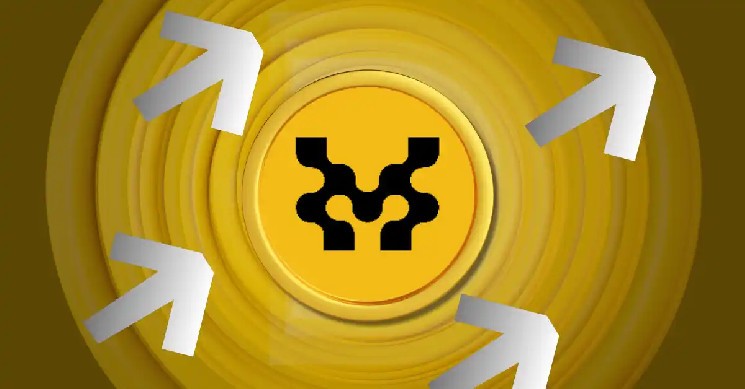 Скандал с токеном MOVE: манипуляции на рынке приводят к резкому падению цены и расследованию внутри Movement