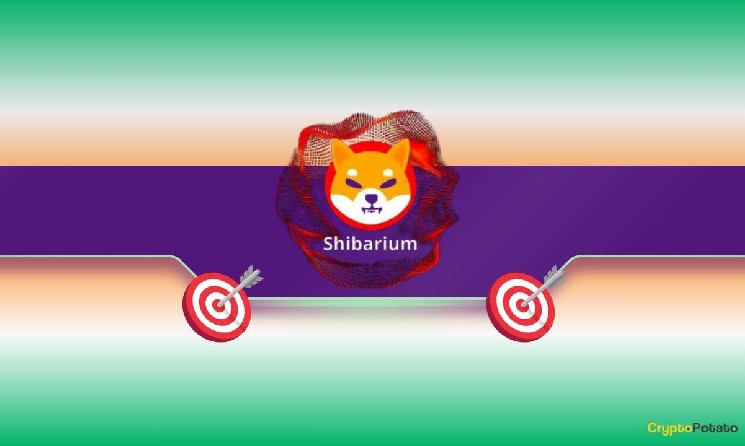 Shibarium от Shiba Inu преодолел 200 миллионов адресов, но цена SHIB упала на 3%