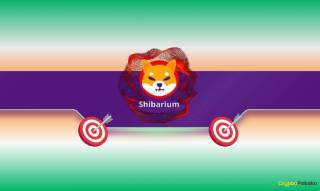 Shiba Inu та Shibarium: новий етап розвитку, але ціна SHIB знижується