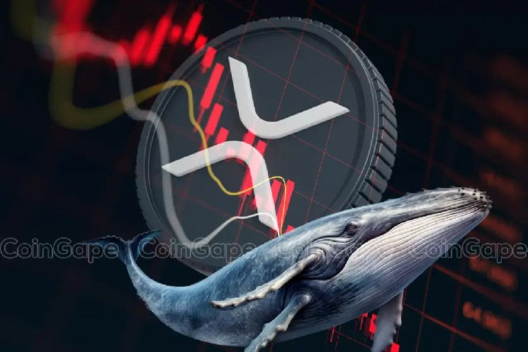 Кит Ripple перемещает 64 миллиона долларов в XRP, аналитики прогнозируют бычий прорыв