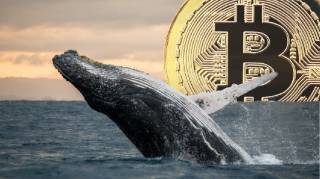 Мистический биткойн-кит активно накапливает BTC каждый день: транзакции продолжаются уже почти три месяца