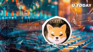 Shiba Inu (SHIB) падает несмотря на золотой крест: что ждет мем-монету?