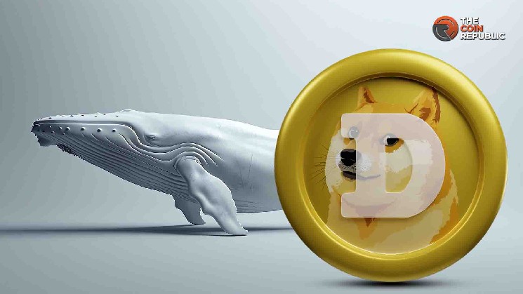 Возможен ли рост цены Dogecoin до $5 с ростом накоплений крупных инвесторов?