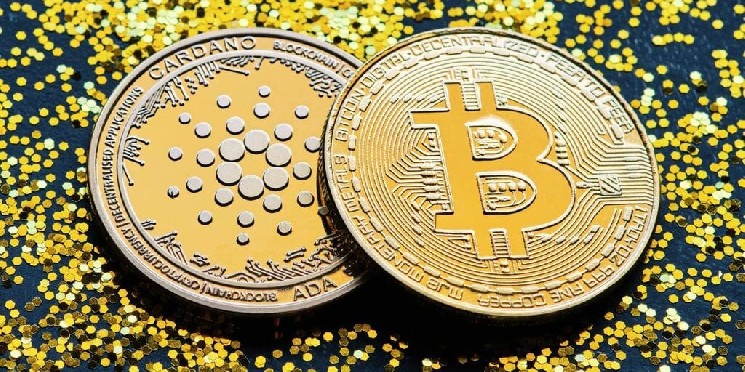 BitcoinOS: Первый перевод BTC на Cardano без моста между цепями