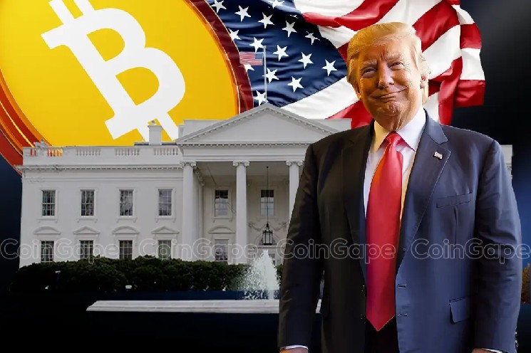 США подали оценку для создания стратегического резерву Bitcoin: новый шаг к росту BTC