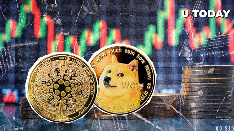 Cardano (ADA) борется за превосходство над Dogecoin (DOGE) с помощью инноваций и растущей капитализации