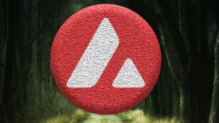 Аваланш (AVAX) тестує критичну підтримку на 20 доларів: Бики намагаються відновити контроль у часи макроекономічної невизначеності.