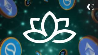 Flora Growth інвестує $1 мільйон у криптовалюту, ставлячи блокчейн у центр стратегії зростання.