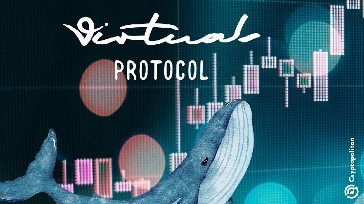 Киты контролируют платформу AI-агентов Virtuals Protocol: накопление и рост интереса к токену VIRTUAL